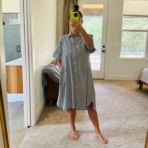 Everlane Daytripper Dress